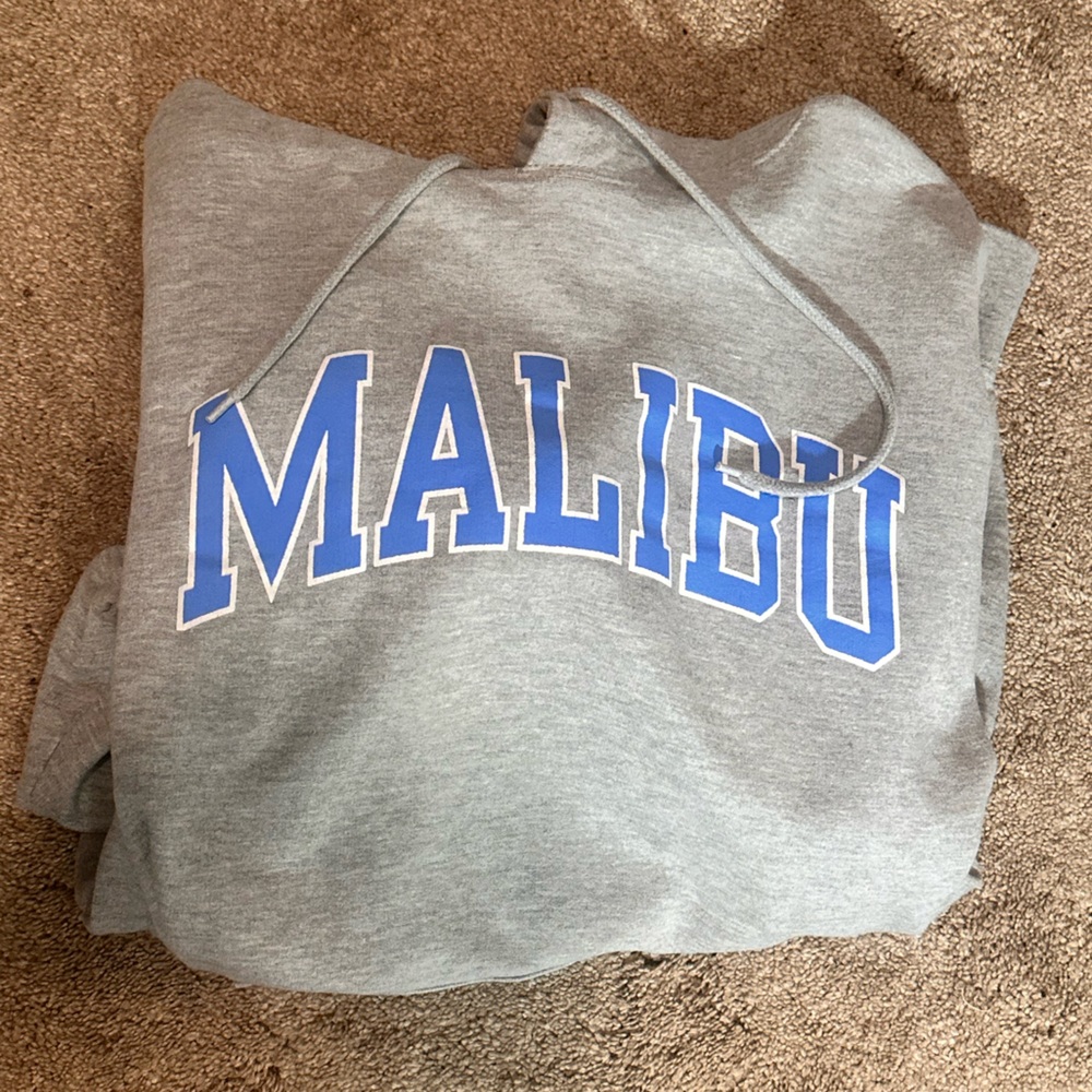 Brandy Melville/John Galt Malibu hoodie
